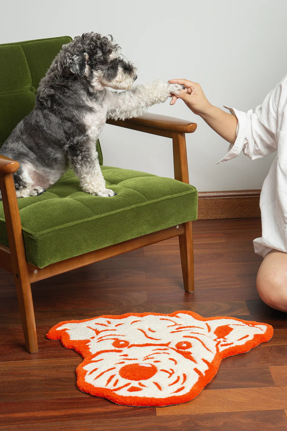 Custom Pet Tufted Rug with Name | Handcrafted Acrylic Yarn Pet Portrait Carpet | Personalized Pet Face Mat