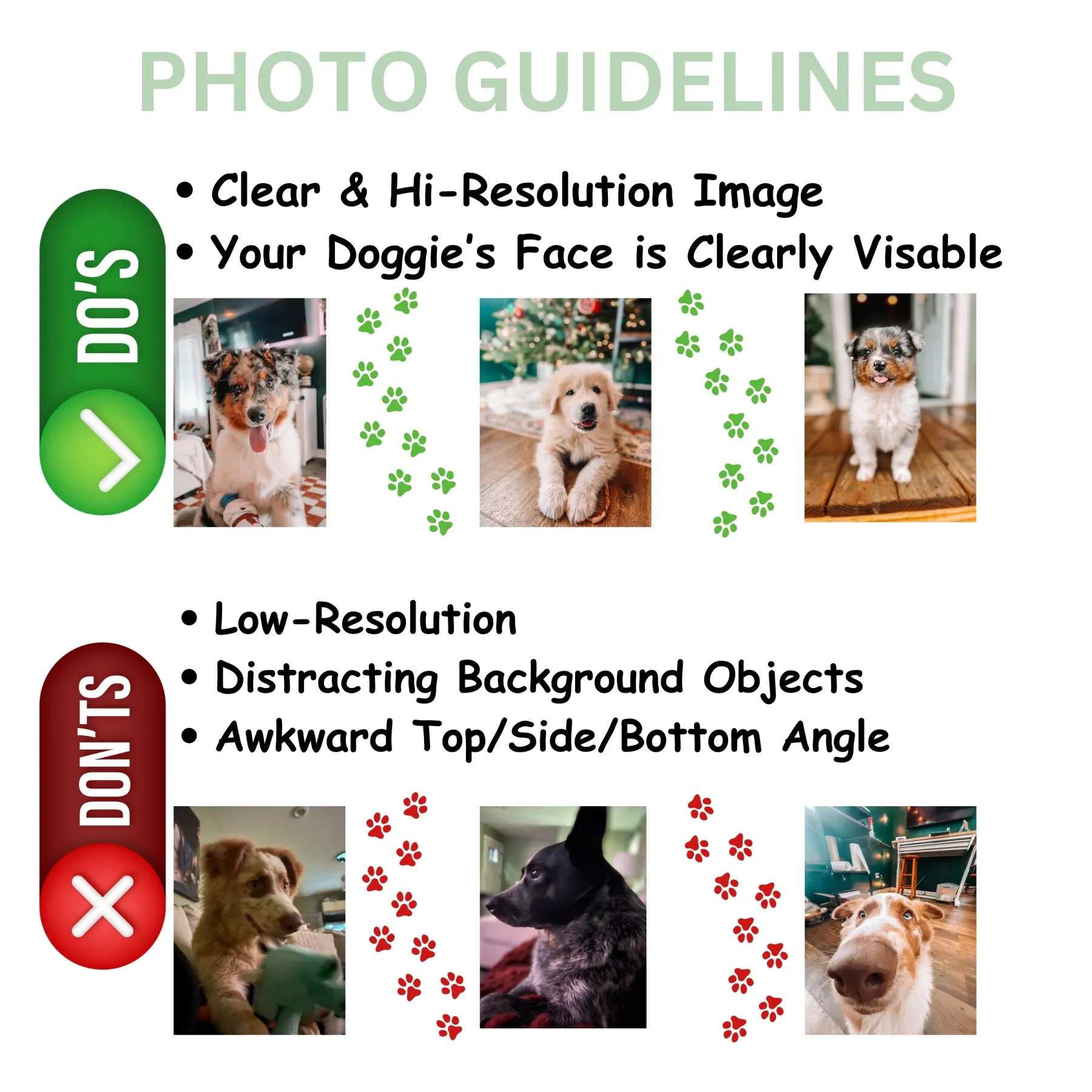 Picture Purfect Pet Embroidered T's N' Pullovers 📷