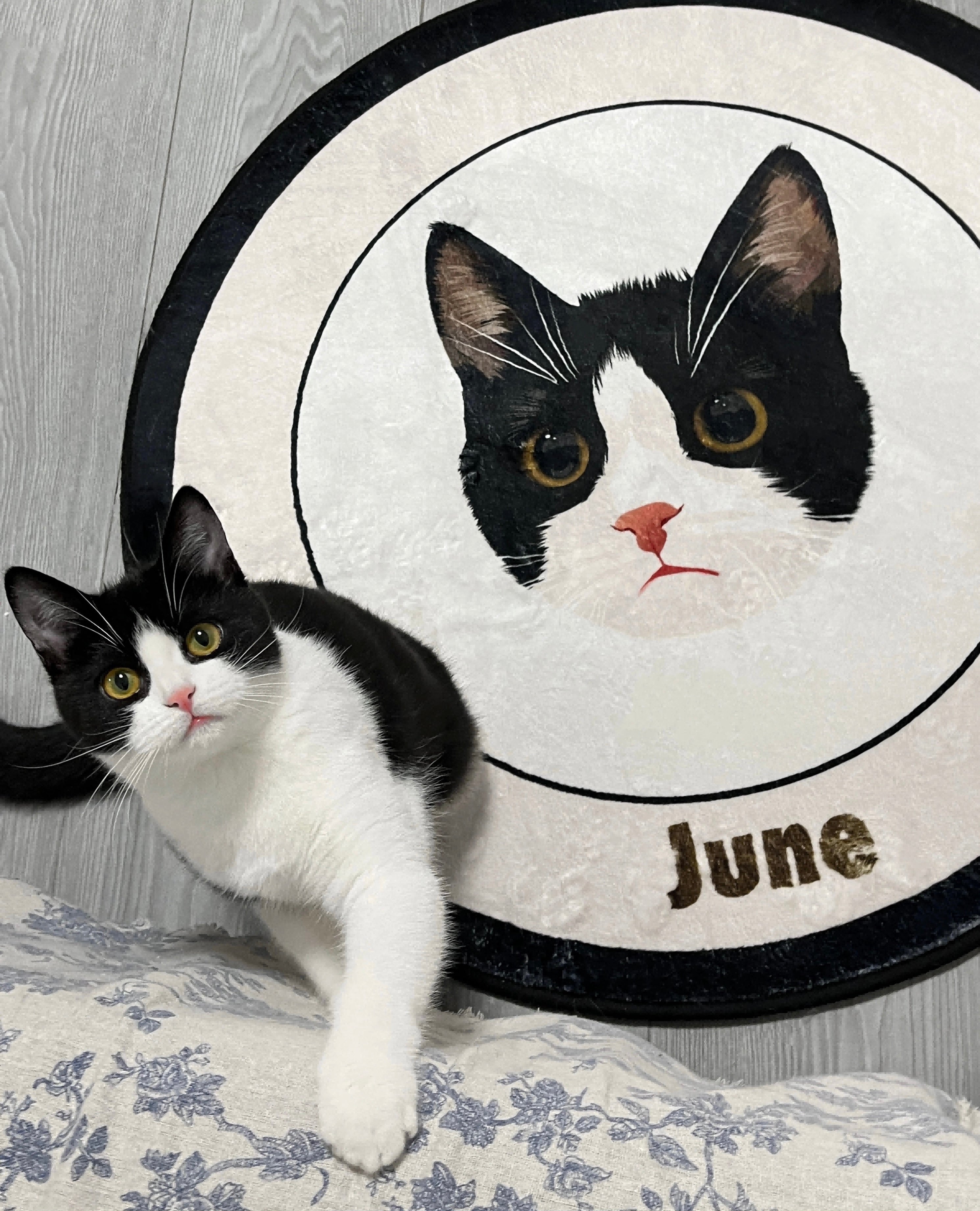 Custom Pet Portrait Rug – Pink-Themed