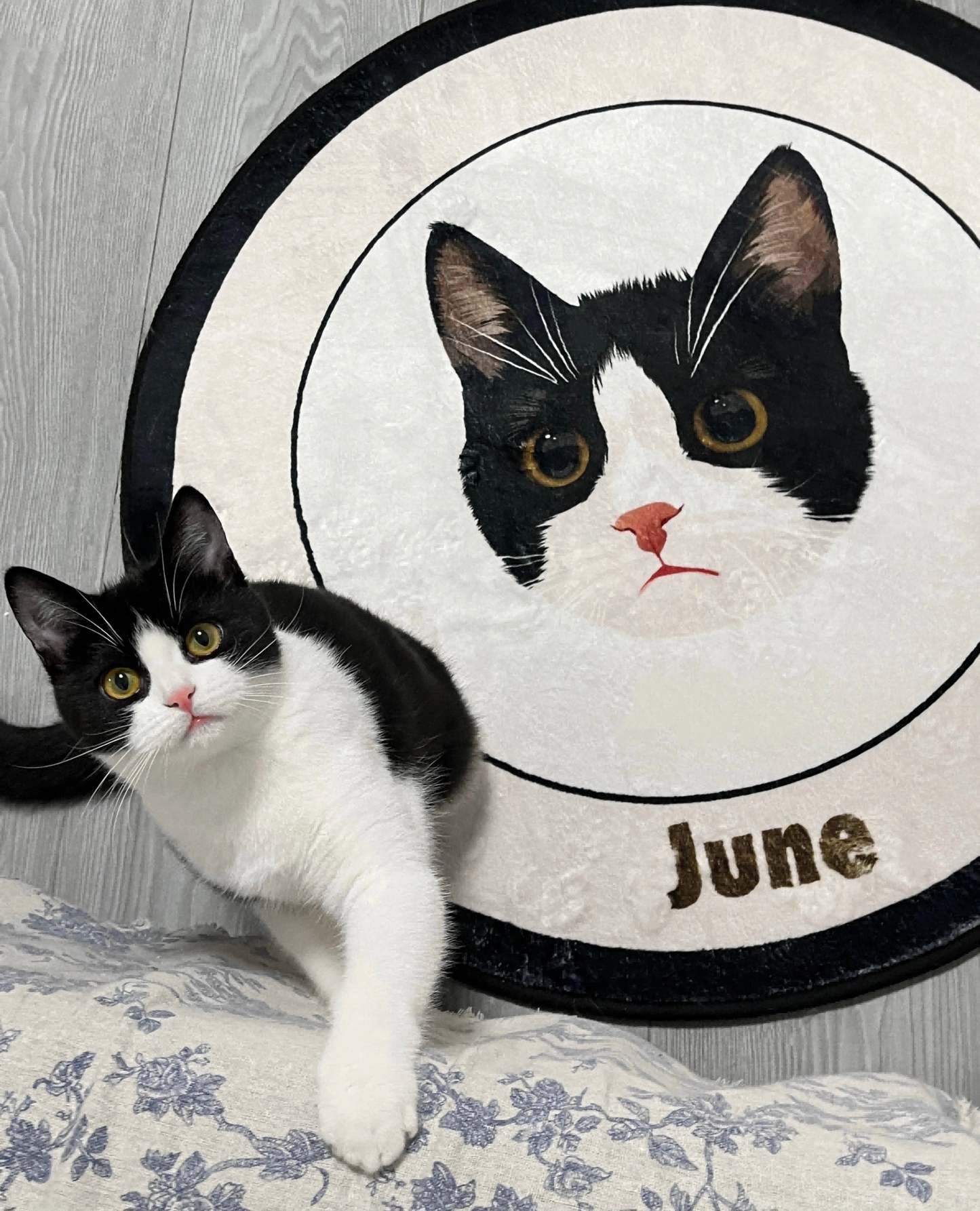 Custom Pet Portrait Rug – Pink-Themed