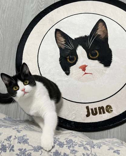 Custom Pet Portrait Rug – Pink-Themed