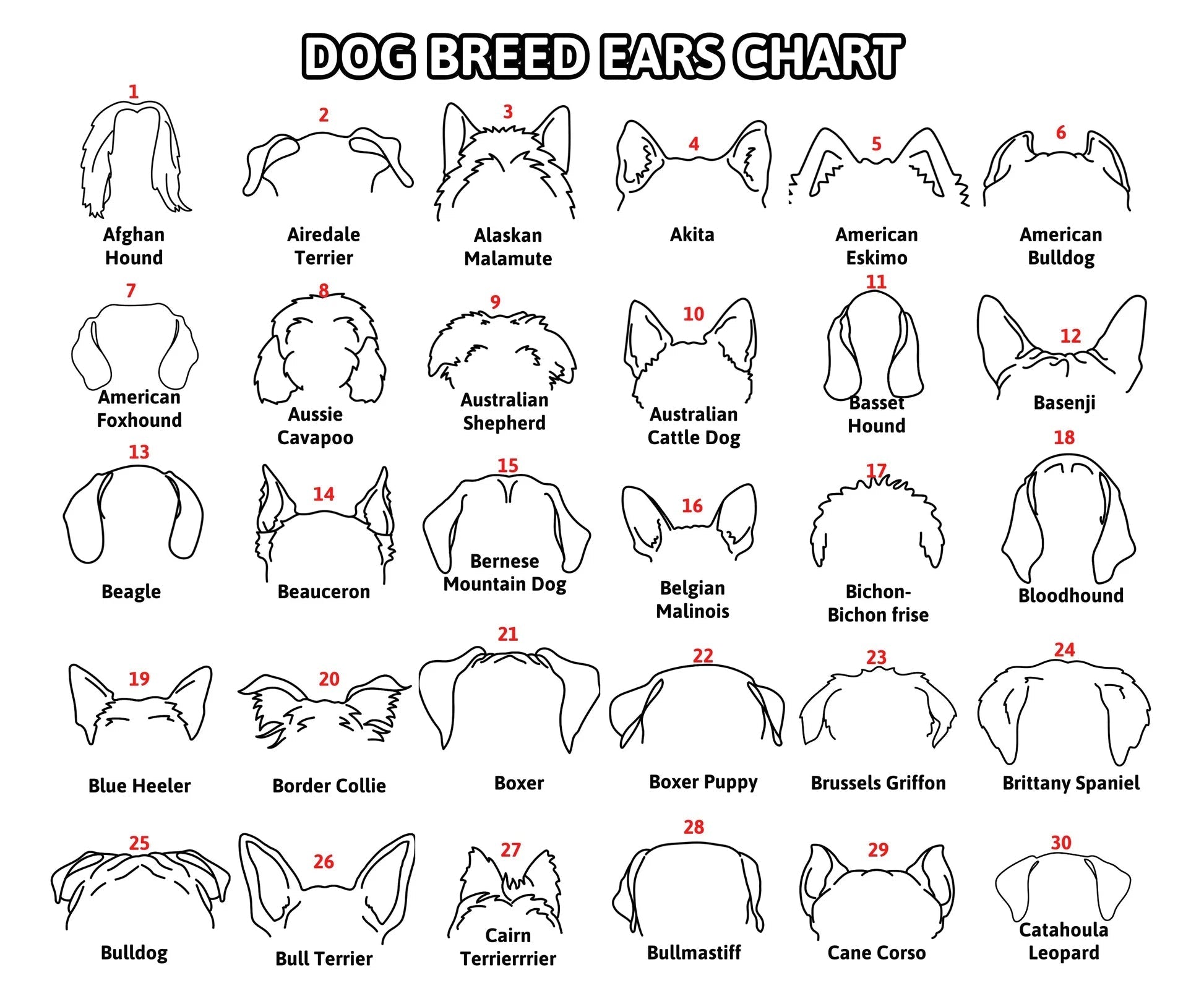 Mother's Day Gift Personalized Pet Collar Frame for Pet Loss Memorial Gift