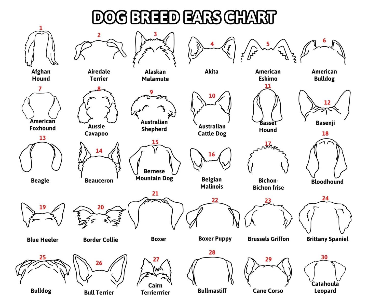 Mother's Day Gift Personalized Pet Collar Frame for Pet Loss Memorial Gift