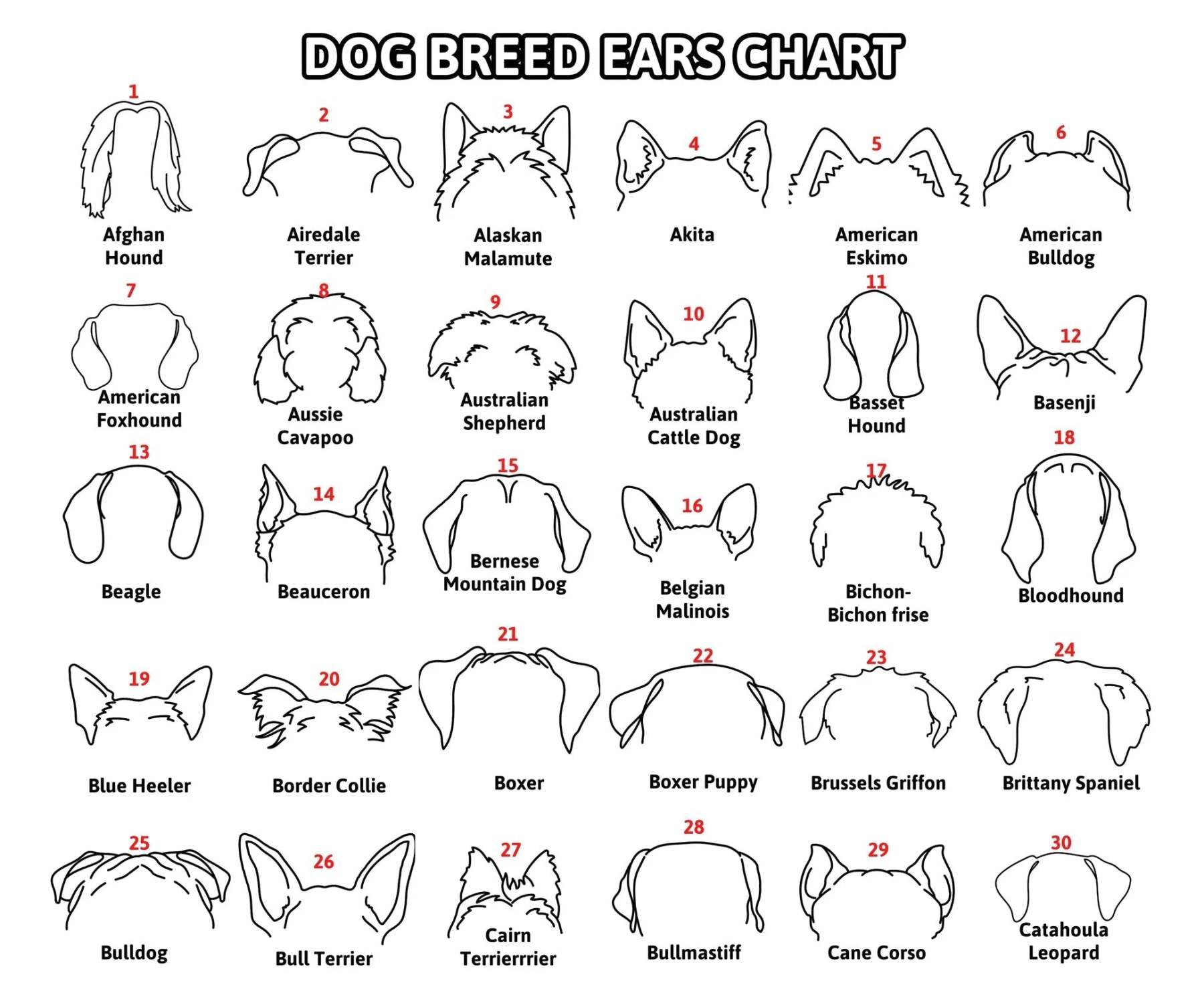 Mother's Day Gift Personalized Pet Collar Frame for Pet Loss Memorial Gift