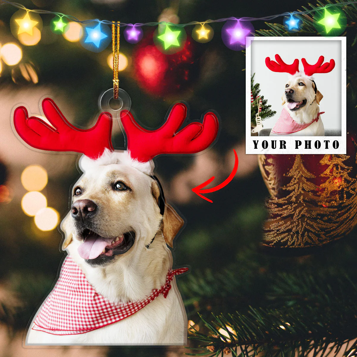 Custom Pets Decoration Ornament Personalized Upload Photo