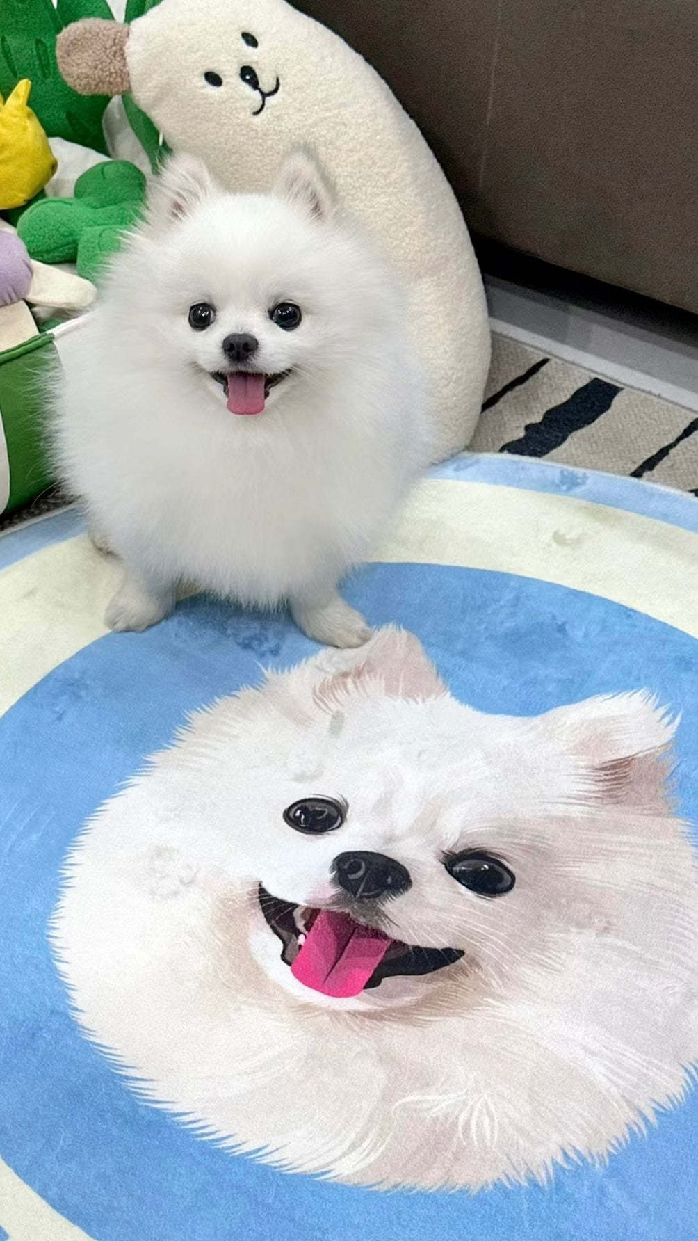 Custom Pet Portrait Rug – Pink-Themed