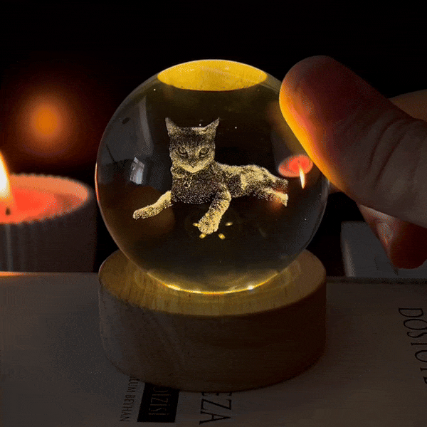 Customized Portraits Celestial Balls