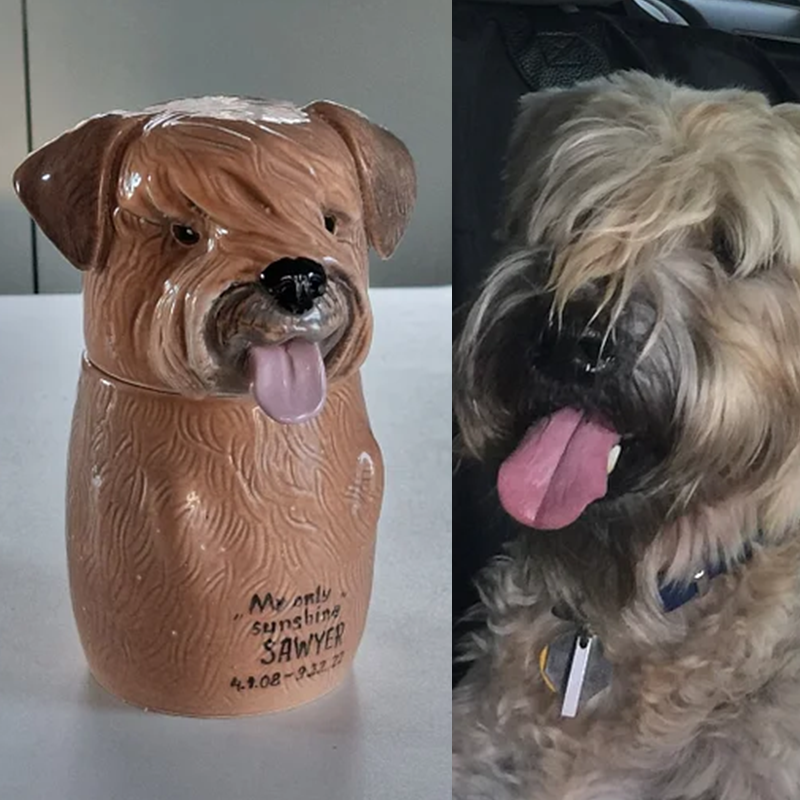Custom Pet Portrait, Personalized Cookie Jar with Lid, Ceramic Portrait from Photo Figurine, Art Cat Sculpture, Dog Mom Lover Gift, Pet Loss Gift