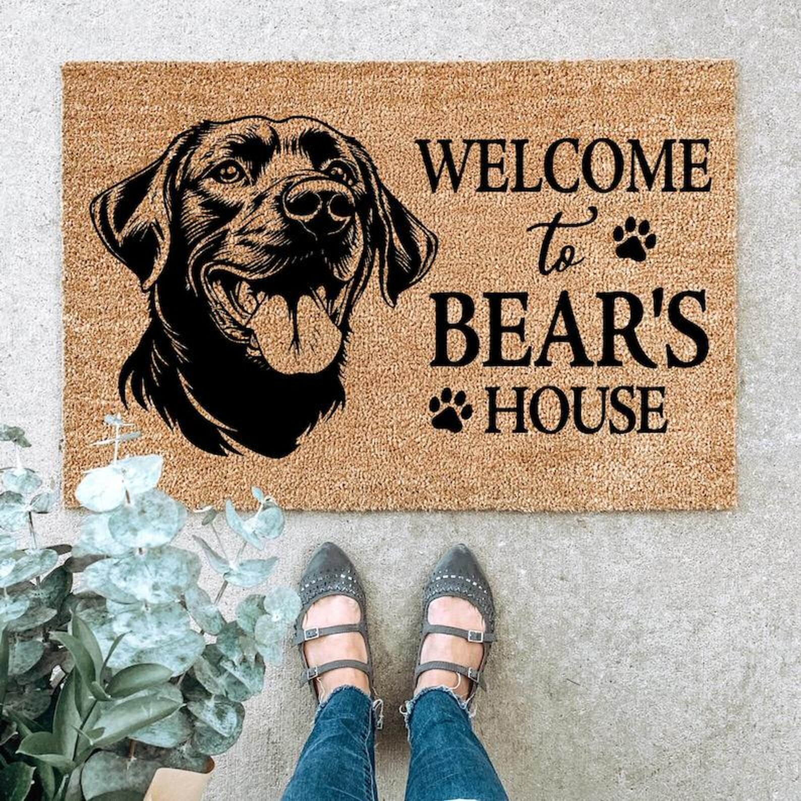 Custom Dog Welcome Doormat, Welcome to Bear’s House Personalized Pet Mat, Dog Face Coir Rug, Funny Dog Lover Gift, Pet Name Entry Mat