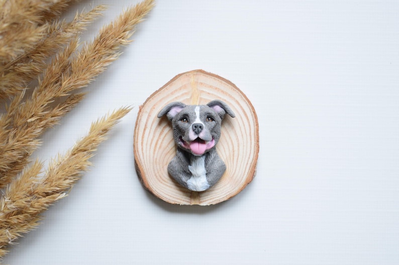 Custom Ornament With YOUR Pet