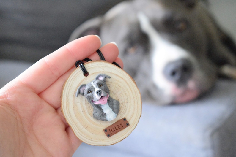 Custom Ornament With YOUR Pet