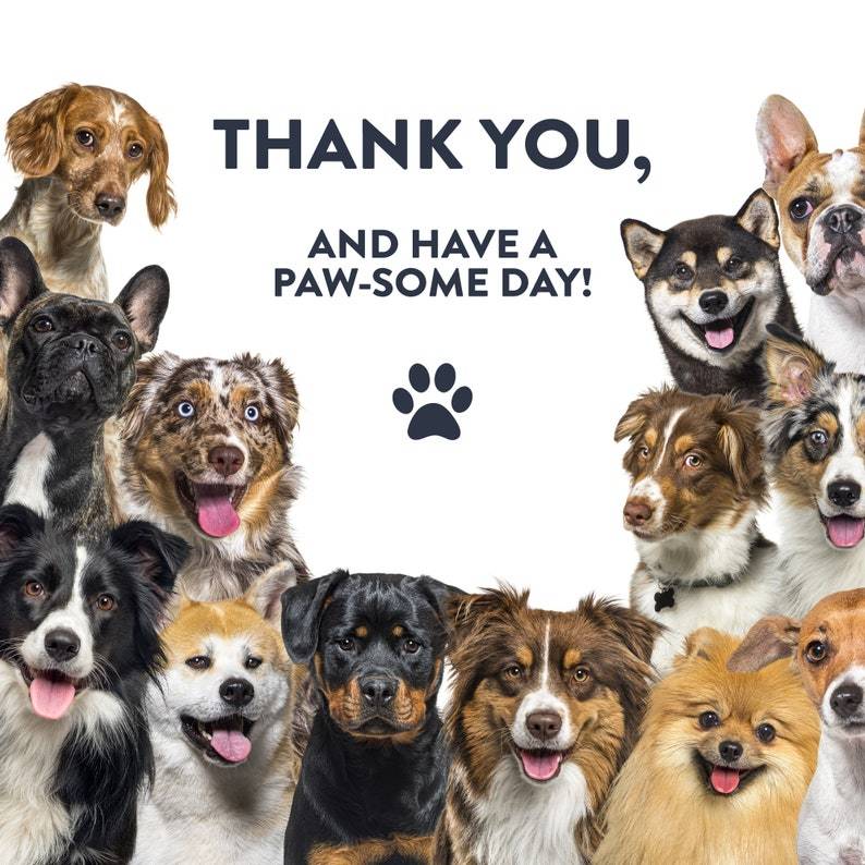 Personalized Custom Dog Breed Doormat - Custom Dog Portrait for Dog Lovers - Unique Home Decor Gift for Dog Owners