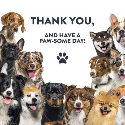 Personalized Custom Dog Breed Doormat - Custom Dog Portrait for Dog Lovers - Unique Home Decor Gift for Dog Owners