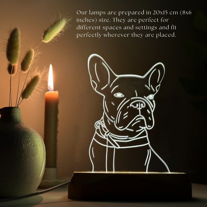 Custom Pet Acrylic Line Drawing Portrait Night Light, Pet Memorial Photo Light