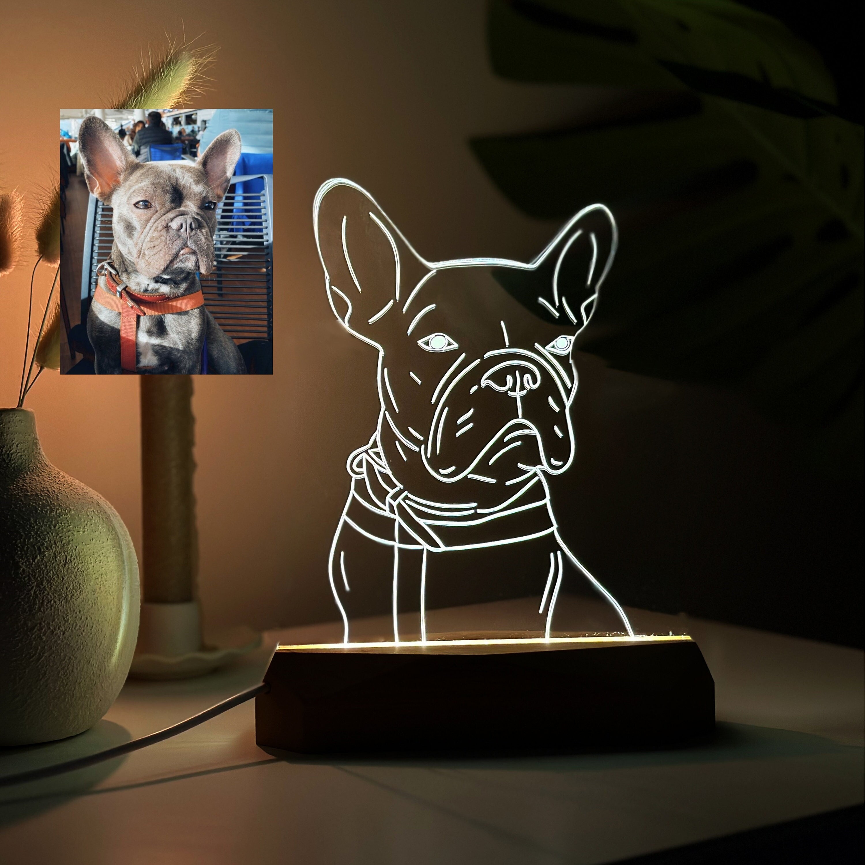 Custom Pet Acrylic Line Drawing Portrait Night Light, Pet Memorial Photo Light