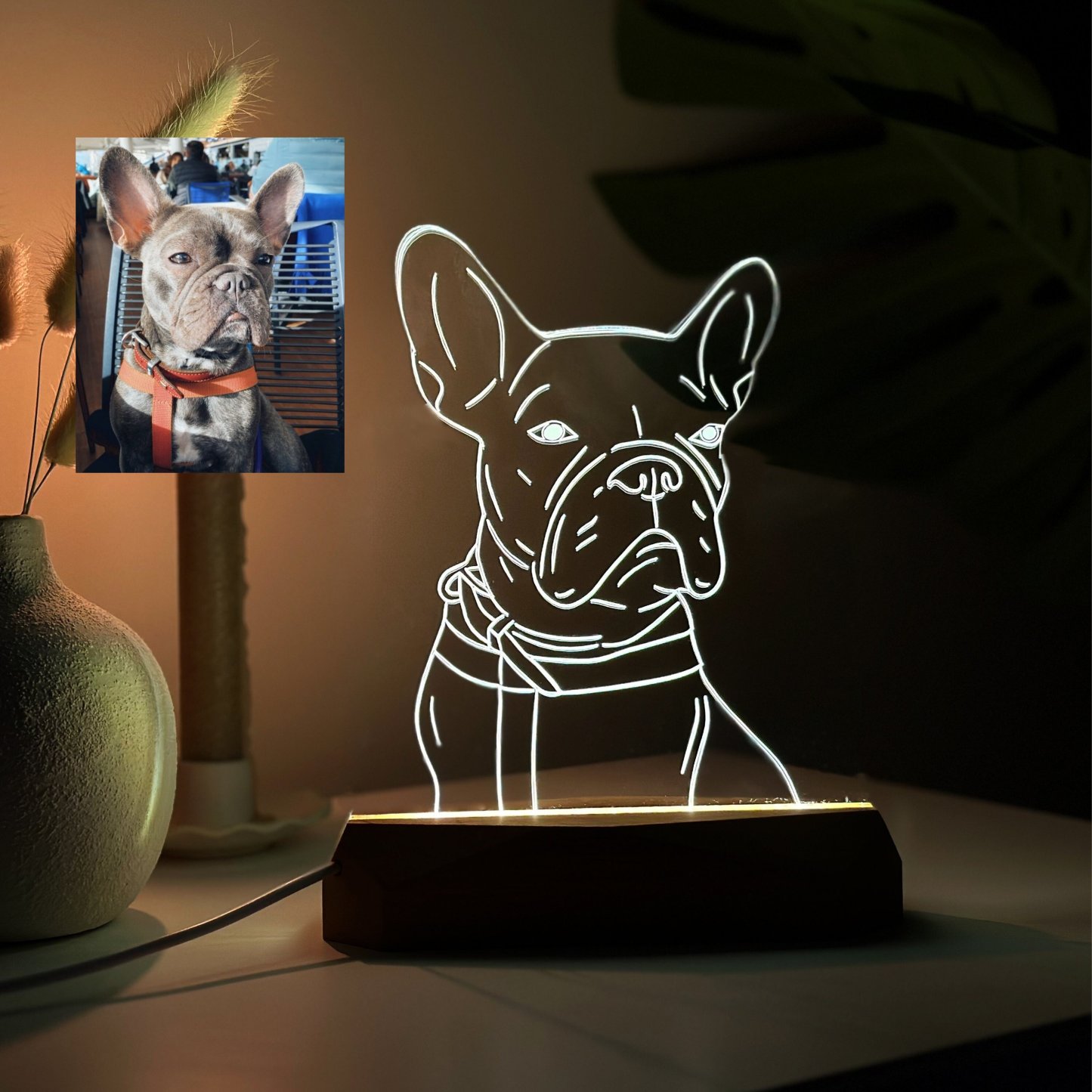 Custom Pet Acrylic Line Drawing Portrait Night Light, Pet Memorial Photo Light