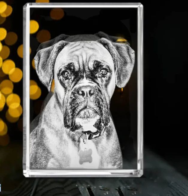 Photo Crystal Rectangle with Free Light Base