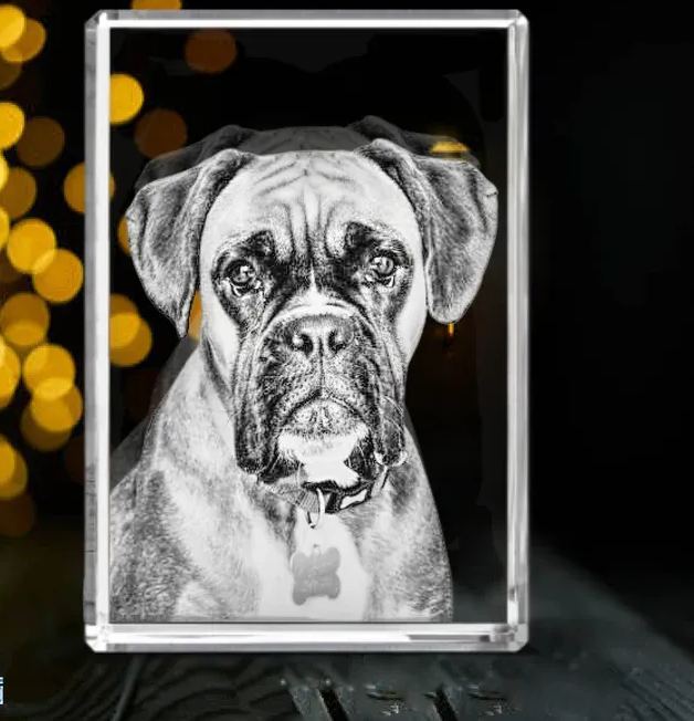 Photo Crystal Rectangle with Free Light Base
