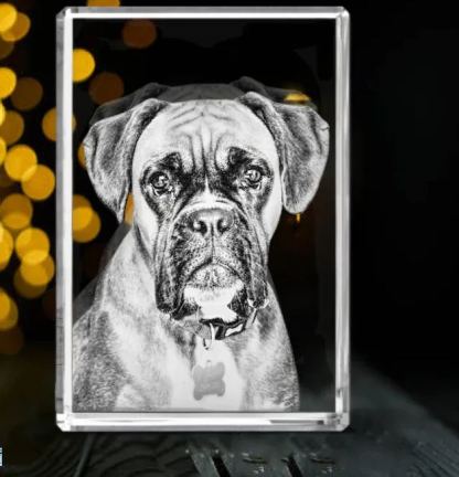 Photo Crystal Rectangle with Free Light Base