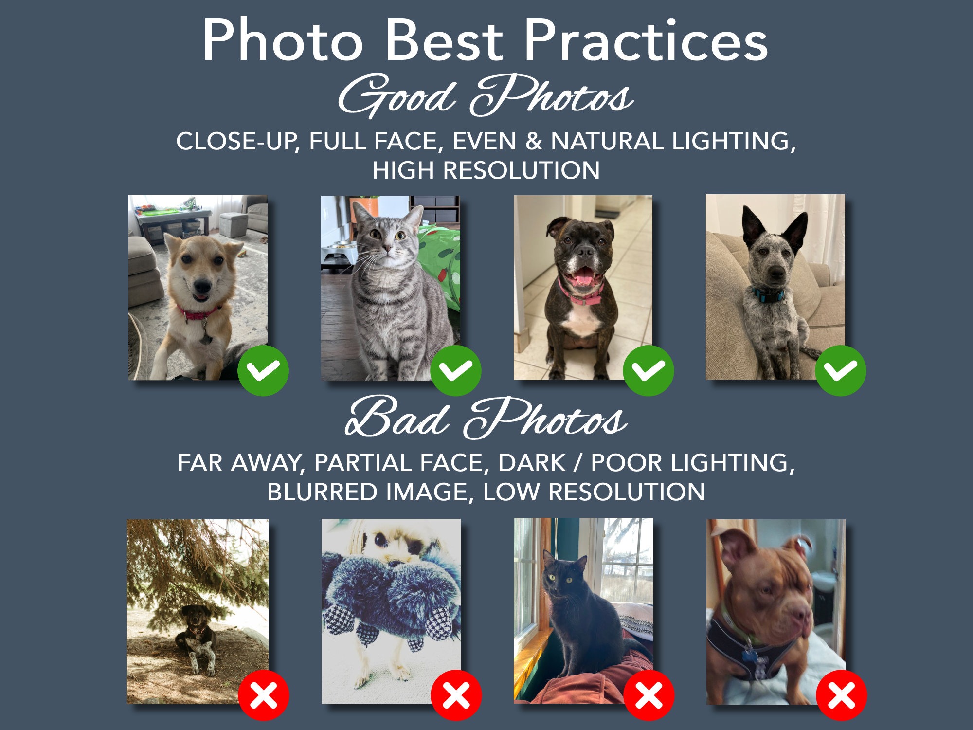 Custom Pet Food Mat Custom Dog Placemat Custom Cat Placemats Personalized Pet Placemat Pet Feeding Mats Nonslip Dog Food Mat Dog Feeding