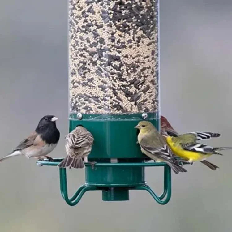 Comedero inteligente para pájaros