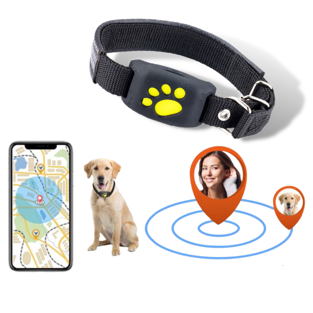 Collar de seguimiento GPS para mascotas - Alertas de localización - Ozerty