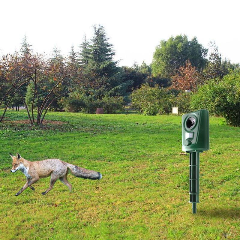  Ultrasónico Radical para Gatos Al Aire Libre