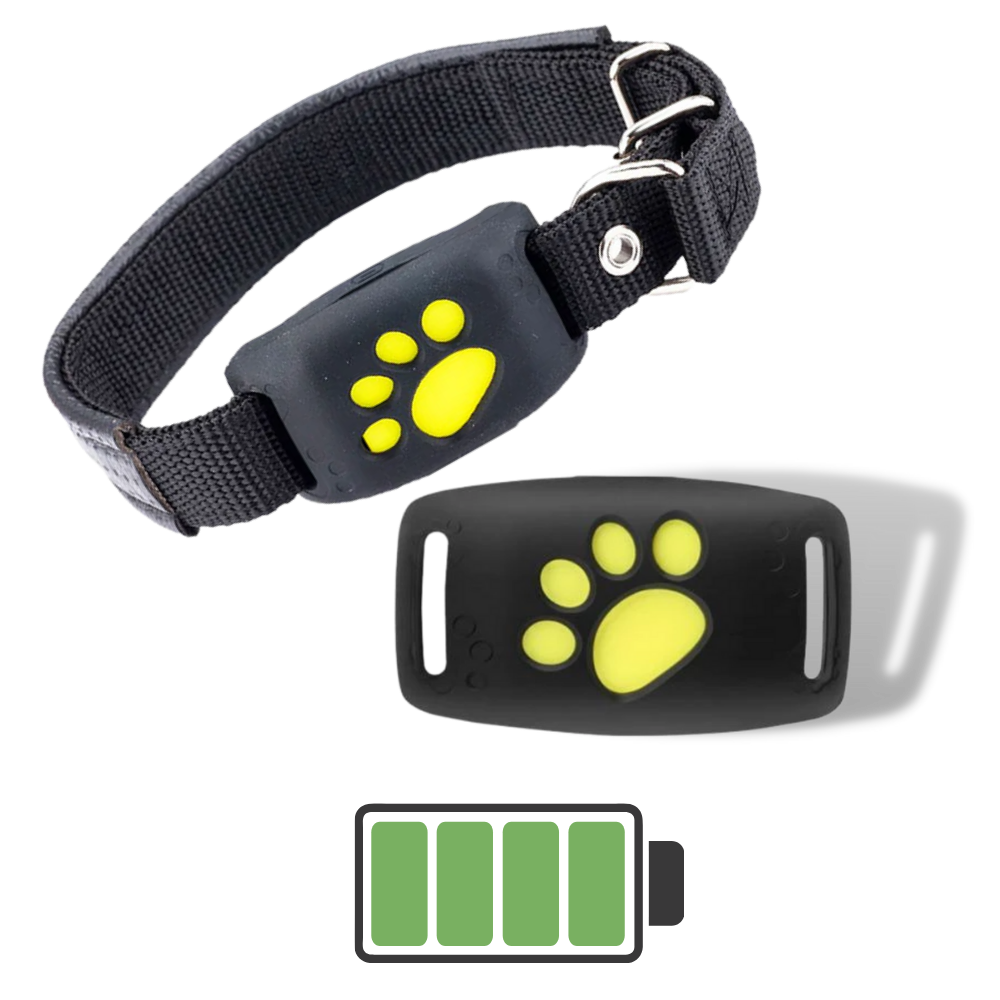 Collar de seguimiento GPS para mascotas