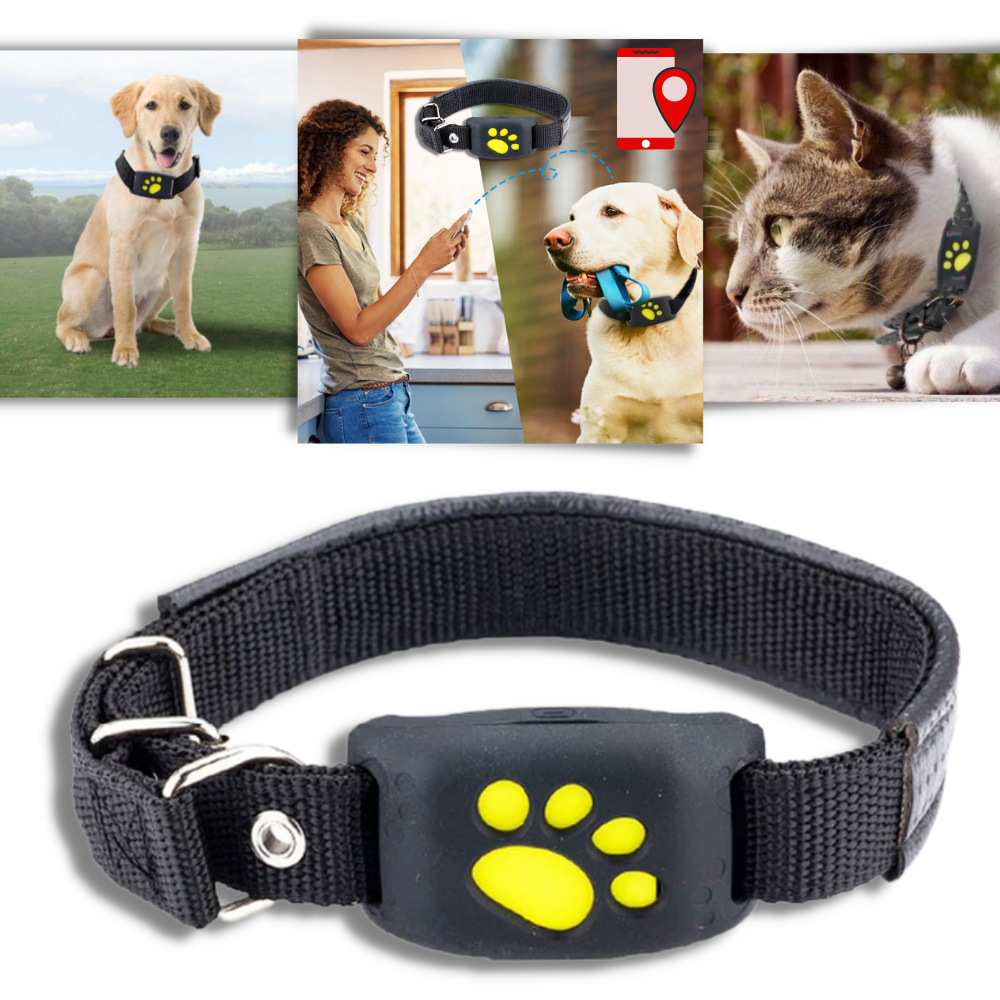 Collar de seguimiento GPS para mascotas