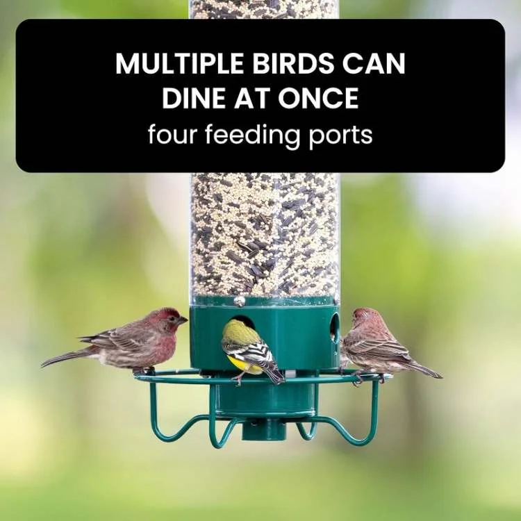 Comedero inteligente para pájaros