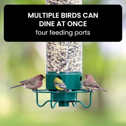 Comedero inteligente para pájaros