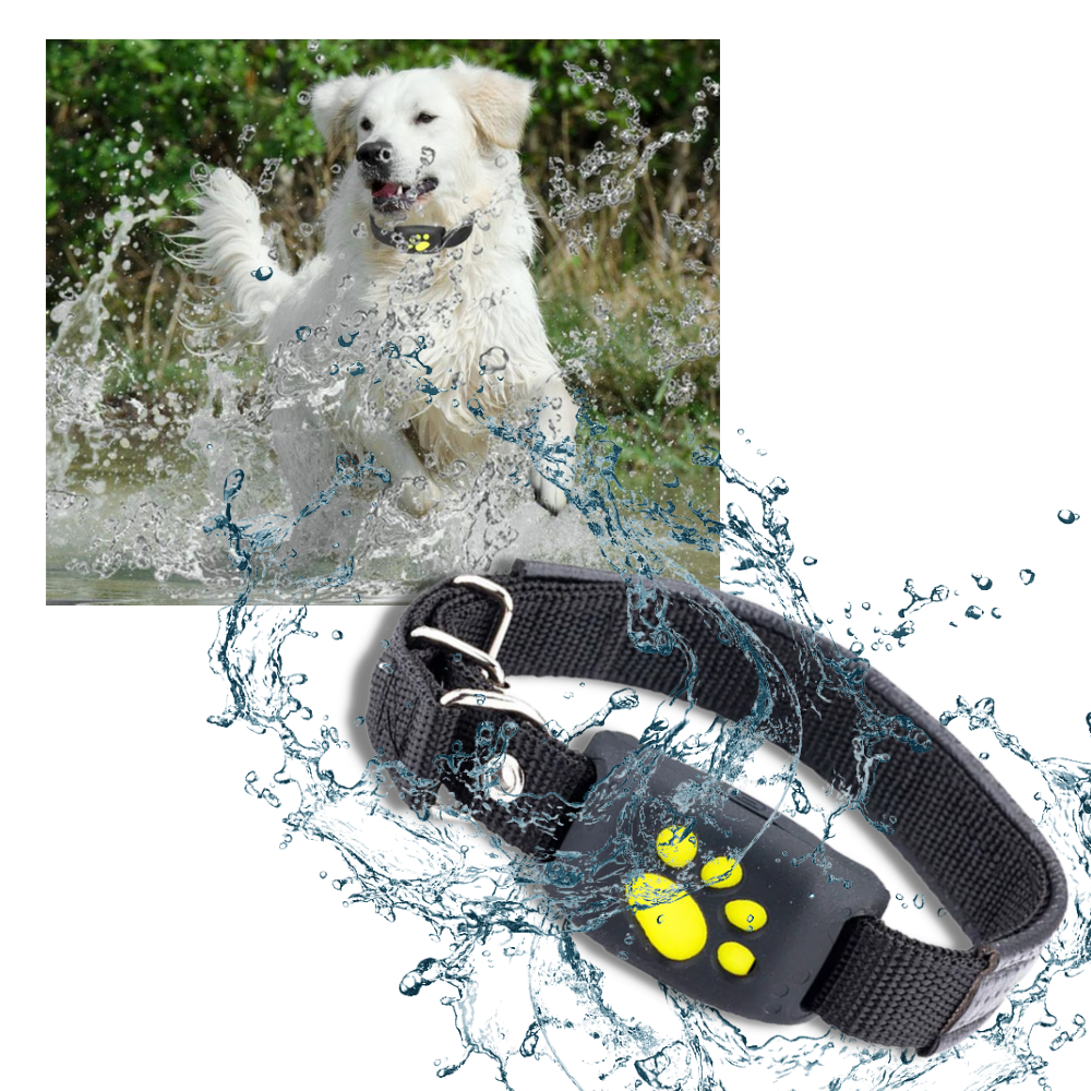 Collar de seguimiento GPS para mascotas - Impermeable - Ozerty