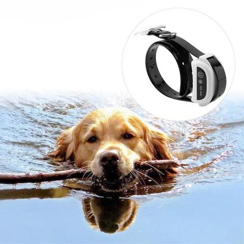 Collar eléctrico impermeable para perros con valla inalámbrica