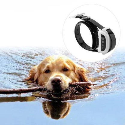 Collar eléctrico impermeable para perros con valla inalámbrica