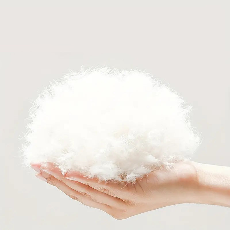 {"default":"GOOSE-FEATHER_1"}