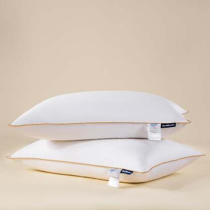 Plush-Paradise-Goose-down-Pillow-2