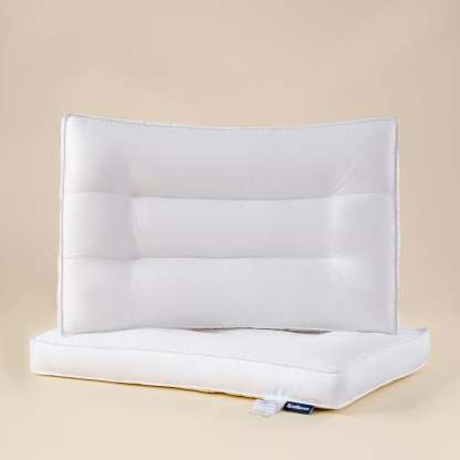 Snowfall-Plush-Goose-down-Pillow-2