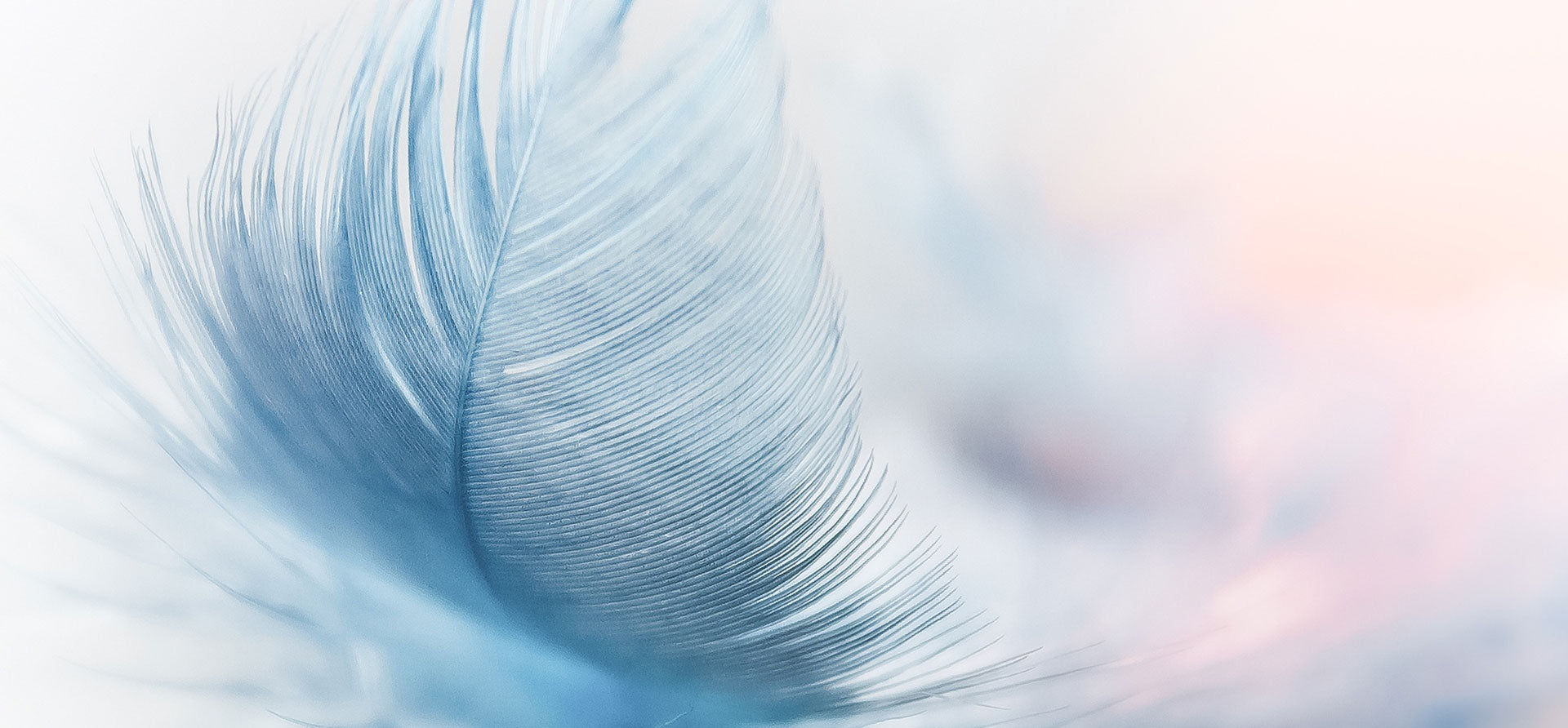 {"default":"slider_bg3"}