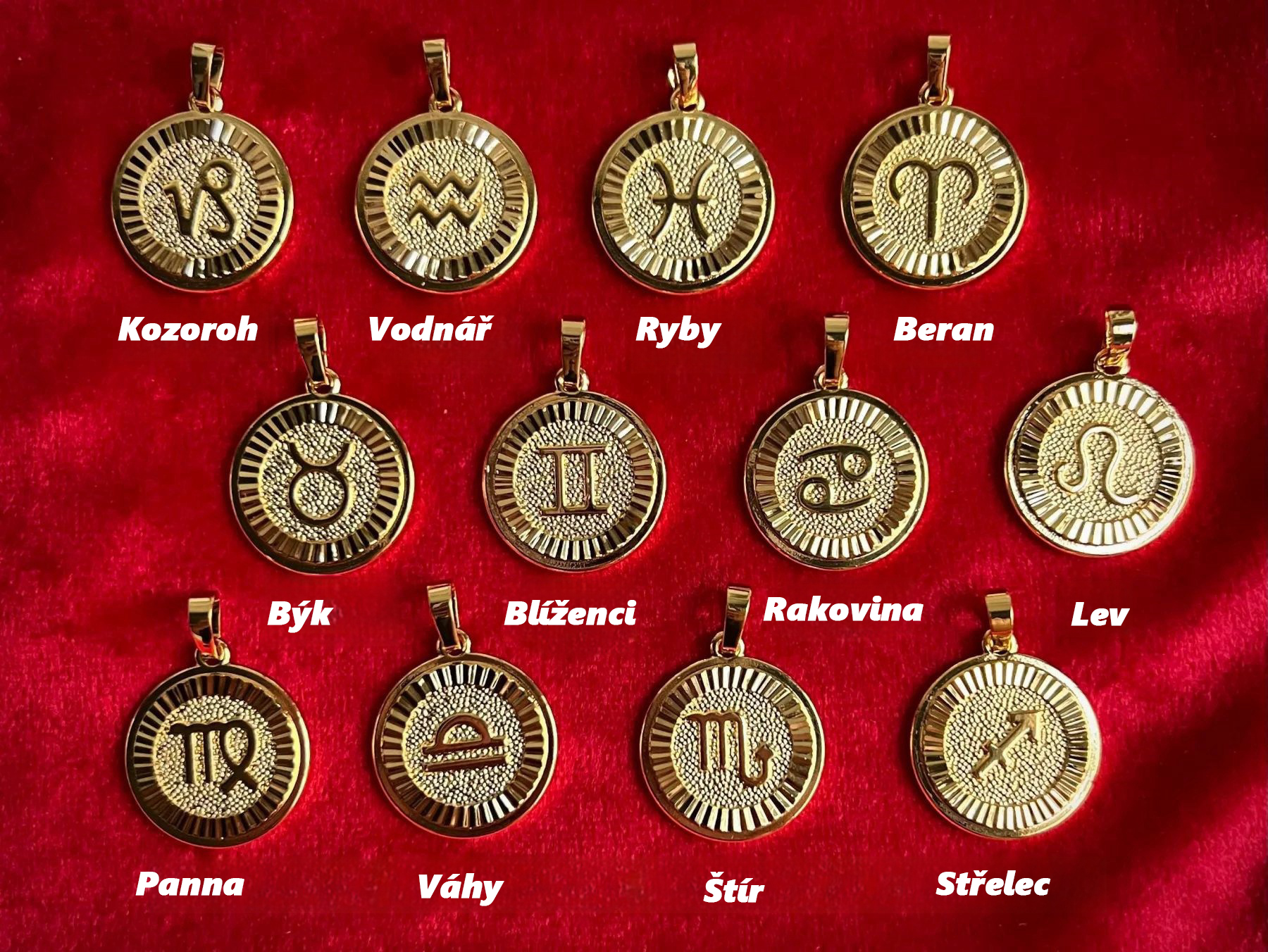 🌟🌈Předobjednejte si dvanáct exkluzivních zlatých a stříbrných náhrdelníků zvěrokruhu✨🎁 (unisex)