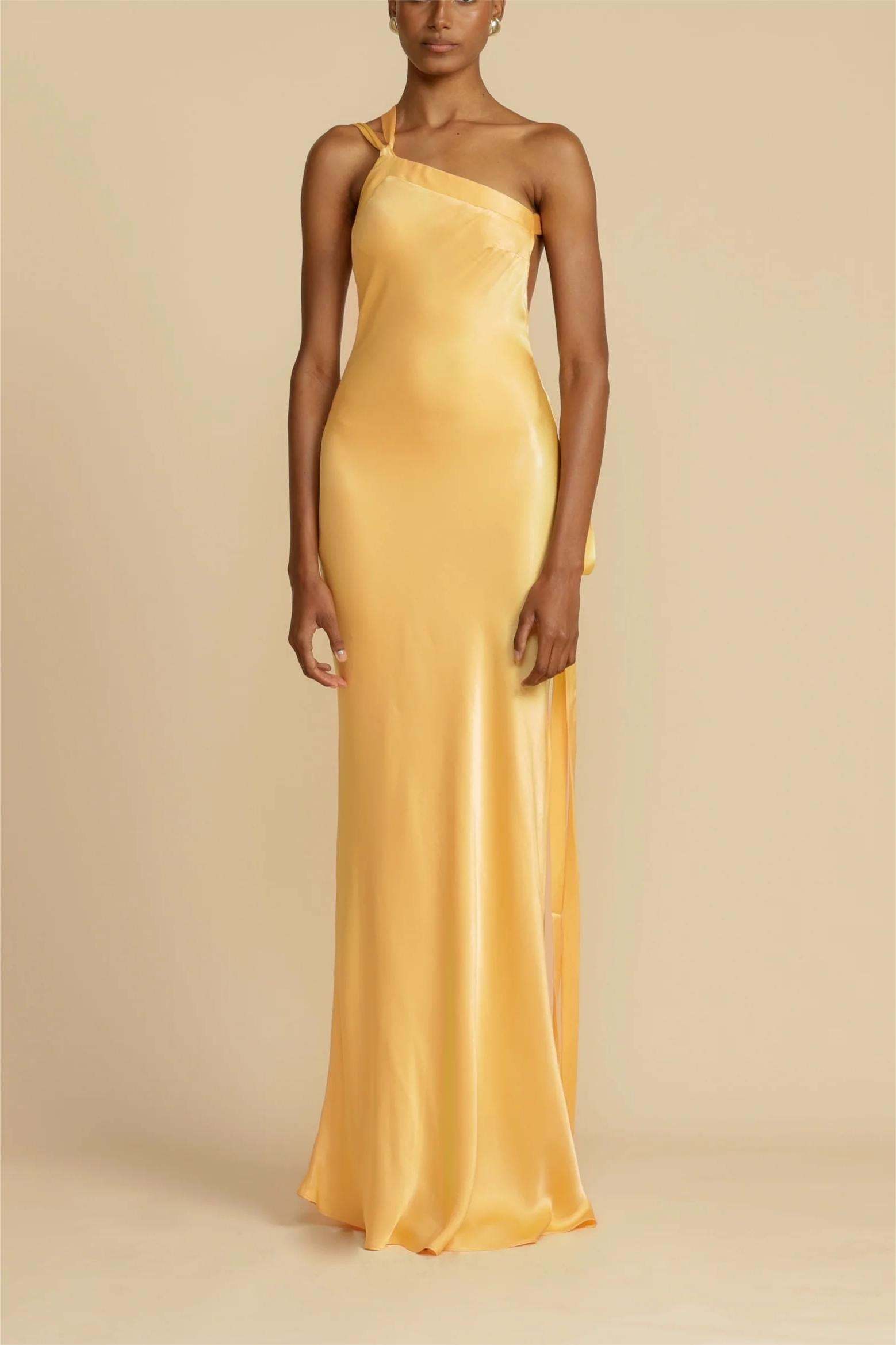 Pria Cowl Maxi Dress in Moonlit Blossom Brown