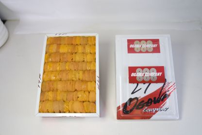 Ogawa 888 Hokkaido Uni