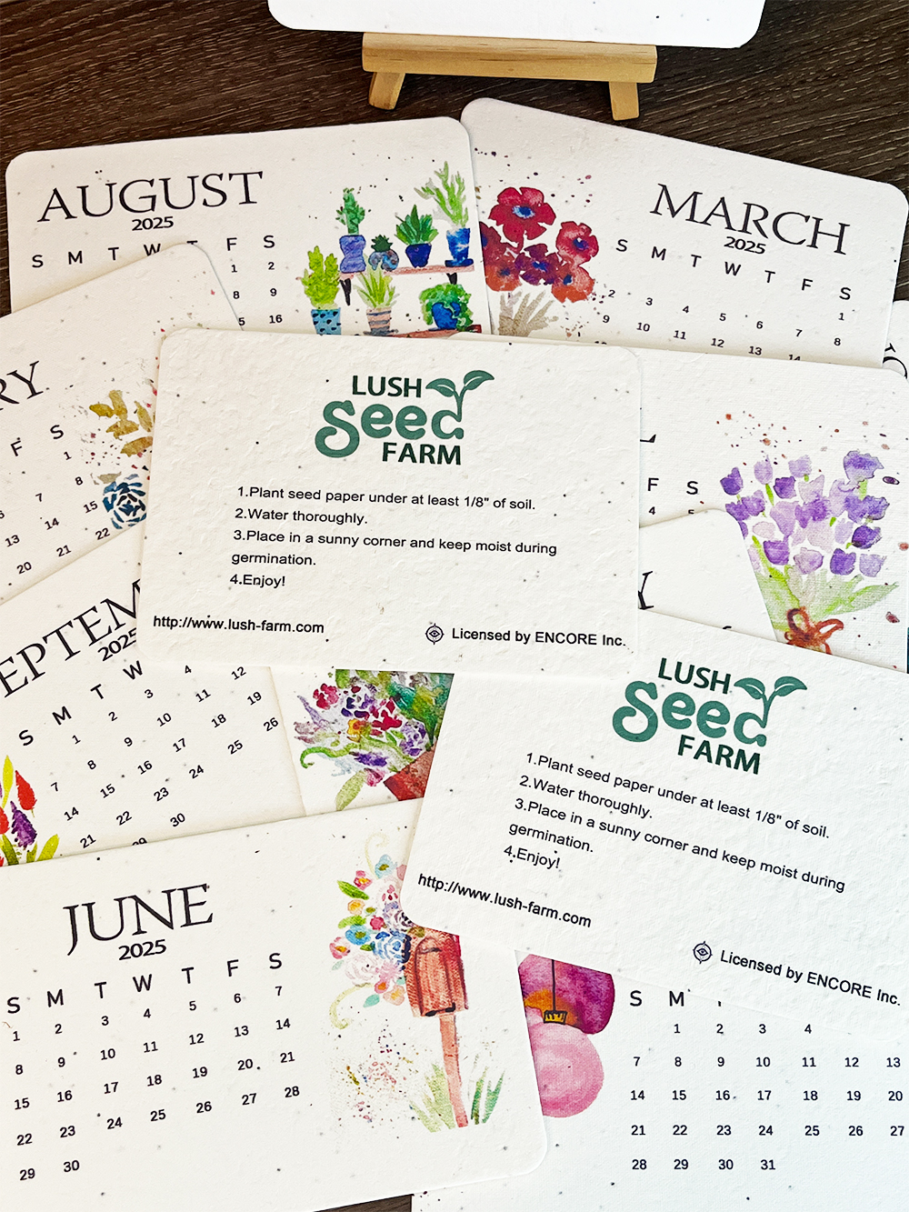 ✨Last Day 60% OFF🌱Eco-Friendly Plantable Love Seed Calendar 2025