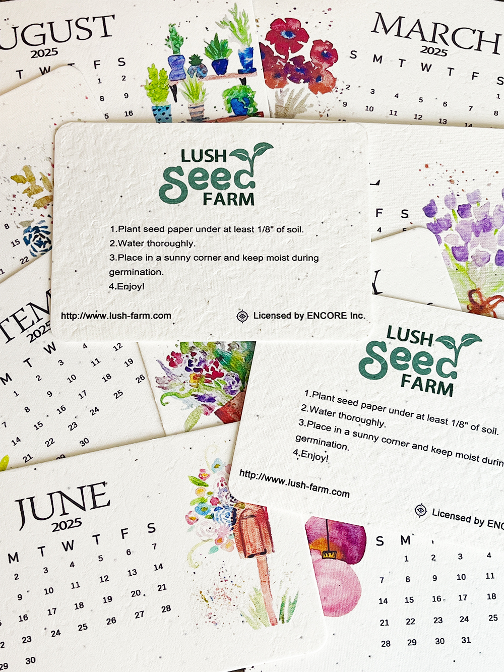 ✨Last Day 60% OFF🌱Eco-Friendly Plantable Love Seed Calendar 2025