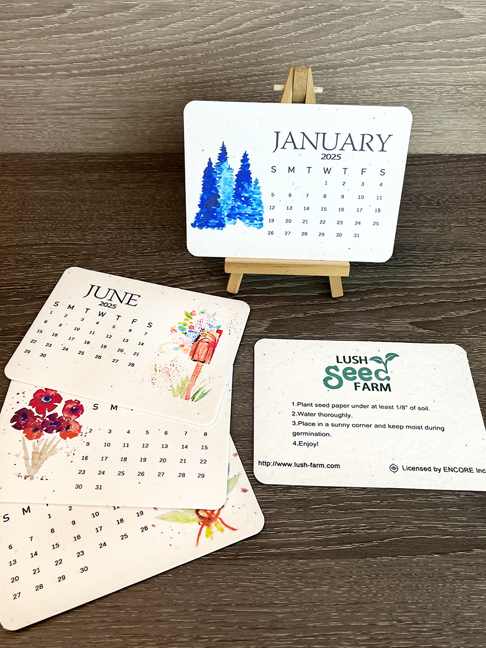 ✨Last Day 60% OFF🌱Eco-Friendly Plantable Love Seed Calendar 2025