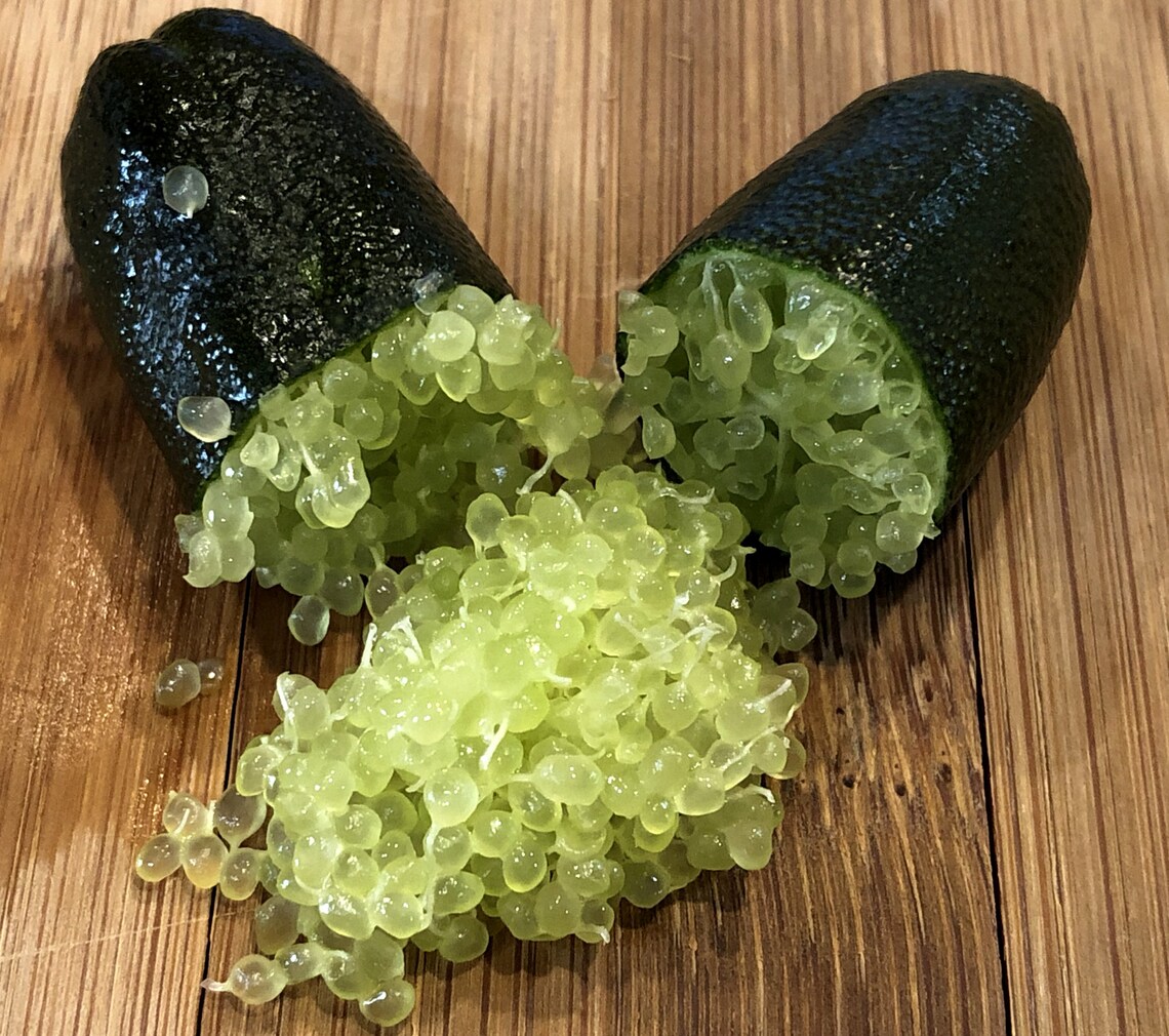 Finger Lime Seeds Lemon Caviar Seeds-Plantjoyfarm