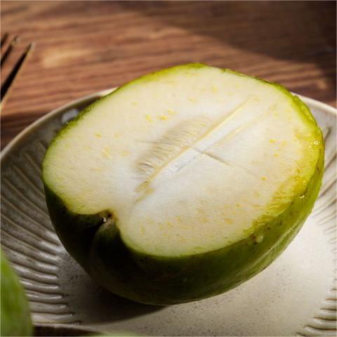 Hardy varieties of White Sapote Seeds-Plantjoyfarm