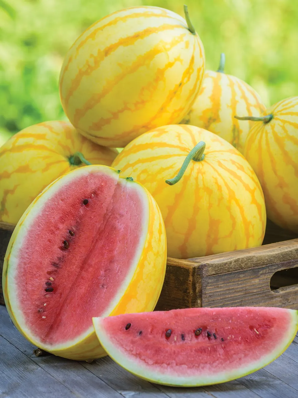 Watermelon, Red in Gold Hybrid, Golden Watermelons-Plantjoyfarm