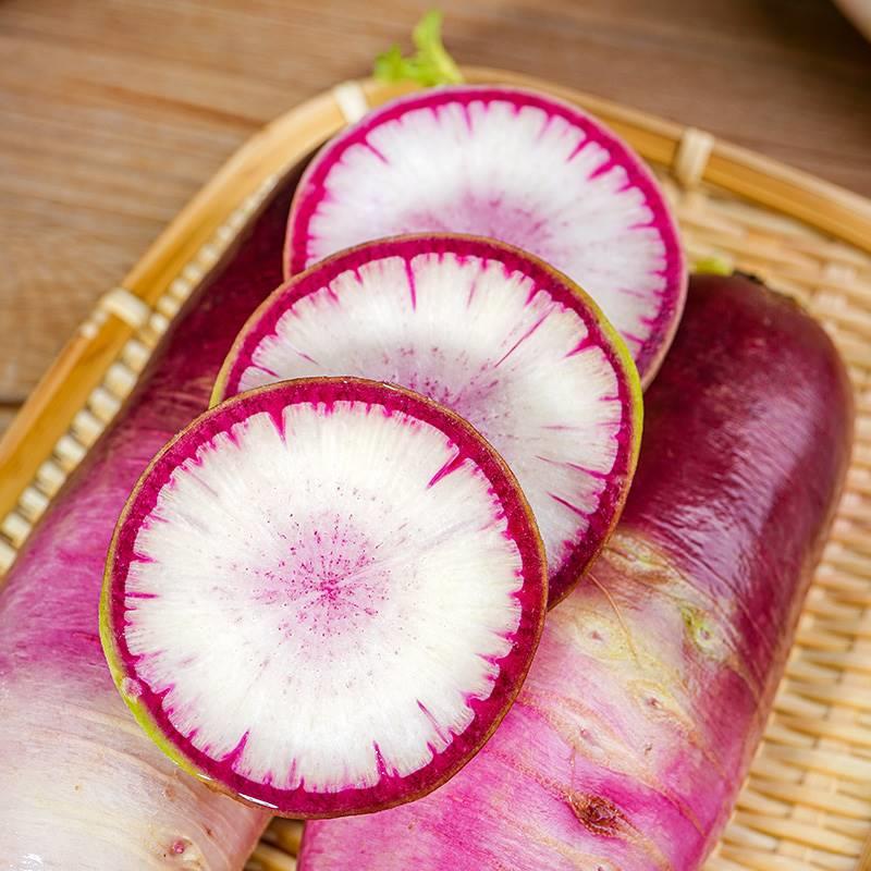 🍦Ice Cream Radish Seeds-Plantjoyfarm