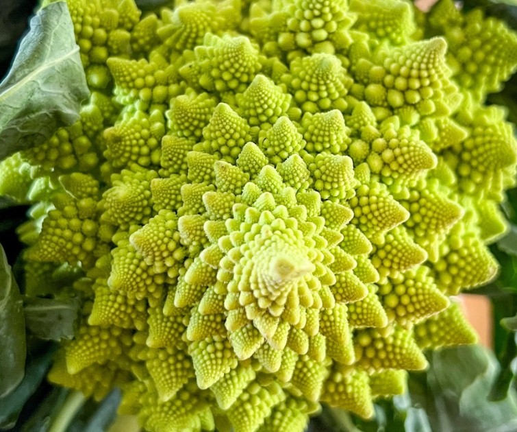 Roman Pagoda Cauliflower Seeds-Plantjoyfarm