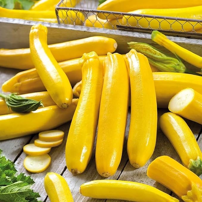Golden Zucchini Seeds-Plantjoyfarm